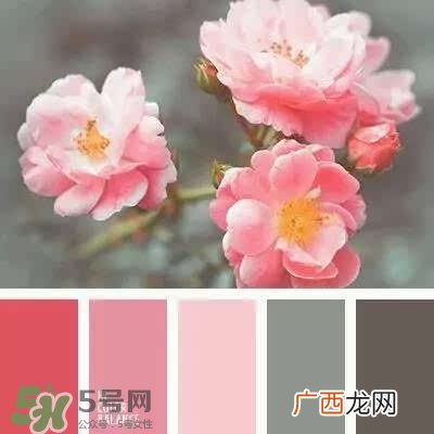 粉色口红哪个牌子好？粉色口红推荐