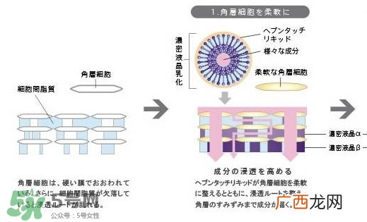 pola极光精华怎么用?pola极光精华使用方法