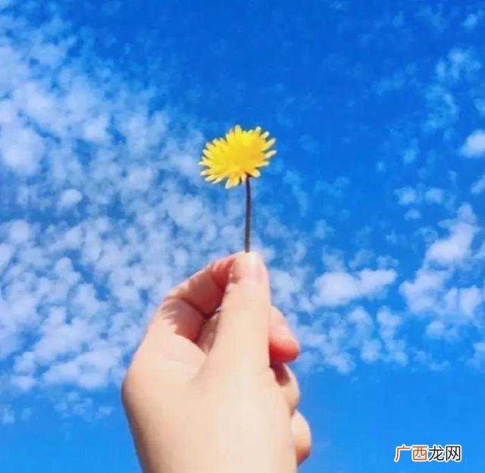 早上阳光灿烂的小短句 阳光灿烂句子简短