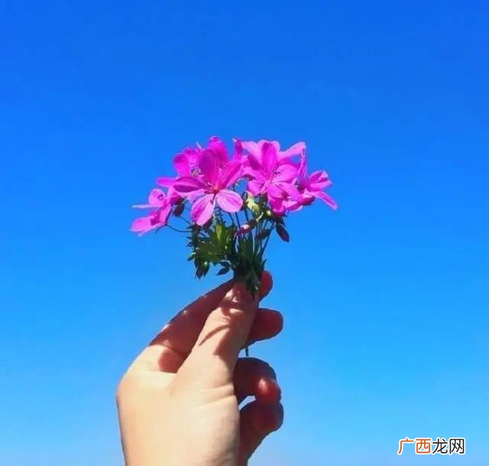 早上阳光灿烂的小短句 阳光灿烂句子简短
