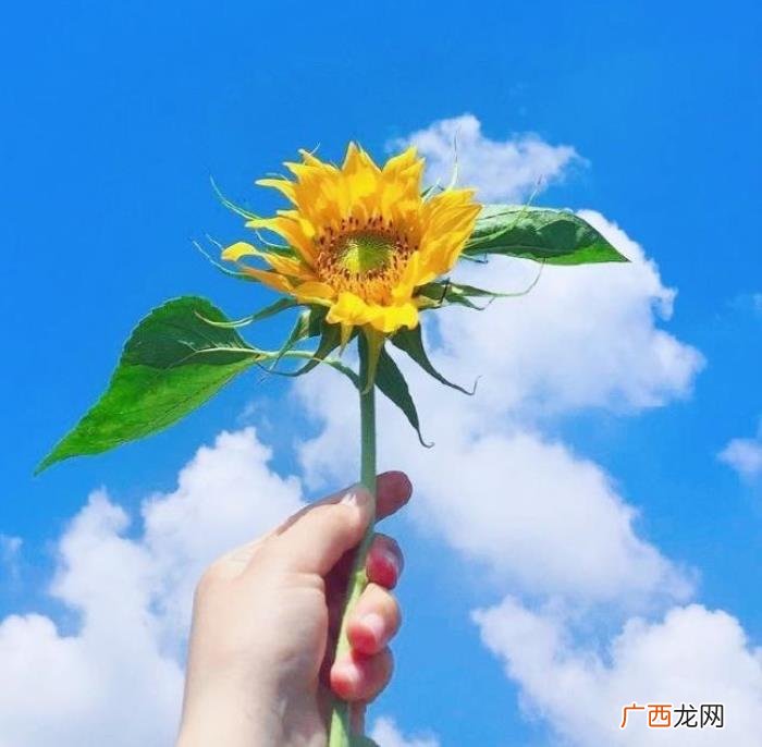 早上阳光灿烂的小短句 阳光灿烂句子简短