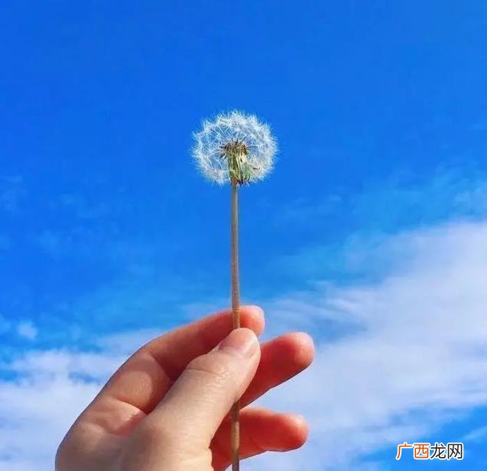 早上阳光灿烂的小短句 阳光灿烂句子简短