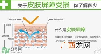 玉泽和至本哪个好？玉泽和至本区别对比