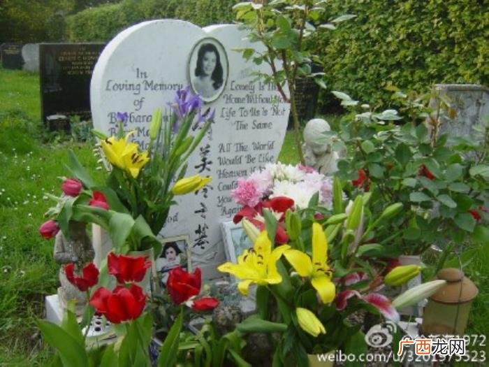 翁美玲墓碑,最俏黄蓉已逝翁美玲墓碑竟无处可去