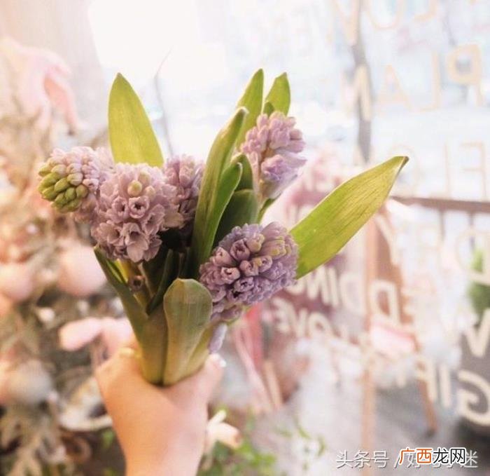最近很火的徐志摩经典语录 徐志摩经典句子