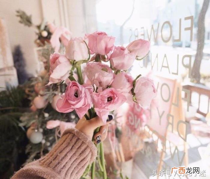 最近很火的徐志摩经典语录 徐志摩经典句子