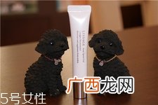 lissage是什么牌子?lissage是什么档次?