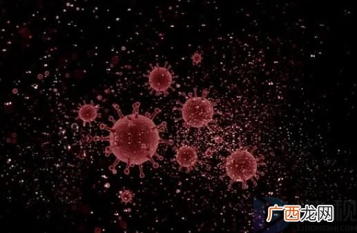 猴痘首次出现死亡病例 与继发细菌感染性休克有关