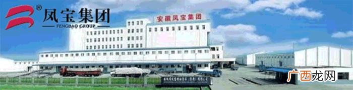 凤阳的建筑，凤阳这里的10处建筑都是历史建筑