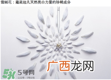 dior迪奥雪晶灵精华水好用吗?迪奥雪精灵精华液怎么样?