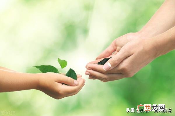爱对象的句子短句，适合给对象留言表白的句子