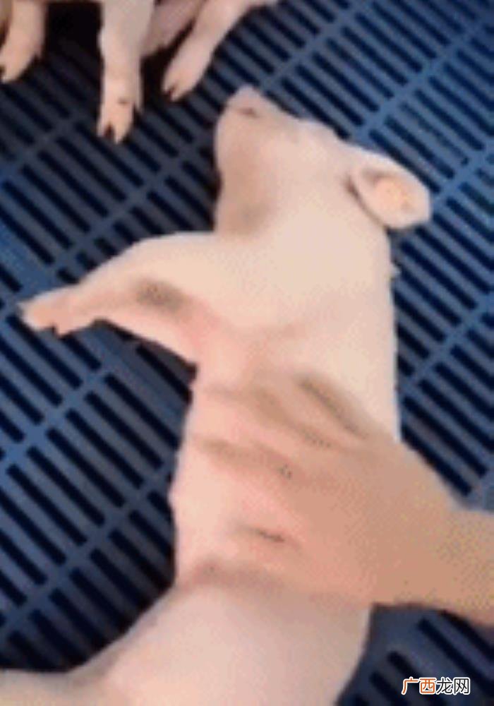 和网恋三年的女友奔现了 网恋动心了怎么办