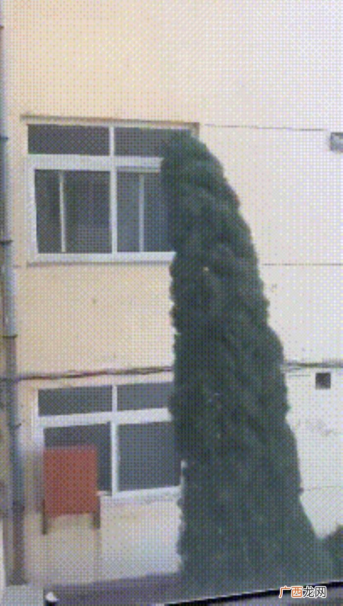 和网恋三年的女友奔现了 网恋动心了怎么办