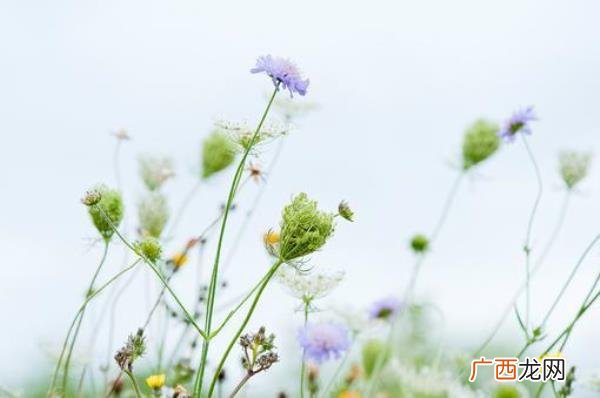 爱情的表达，表达爱情的简短说说