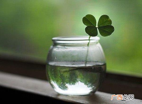 爱情的表达，表达爱情的简短说说