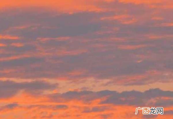 爱情的句子唯美短句说说，爱情语录简短唯美