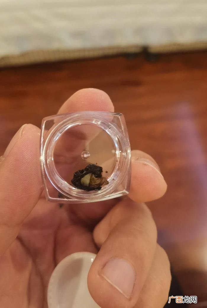 12.25圣诞节 25号圣诞节
