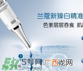 兰蔻精华乳多少钱？兰蔻臻白精华乳专柜价格