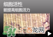 迪奥dior眼部修复精华露 迪奥dior眼部修复精华露价格