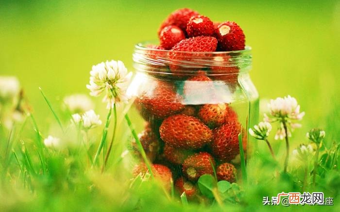 和巨蟹座谈恋爱 和巨蟹座恋人相处的秘诀