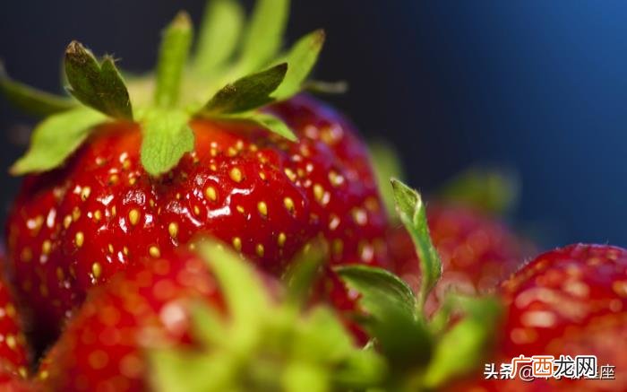 和巨蟹座谈恋爱 和巨蟹座恋人相处的秘诀