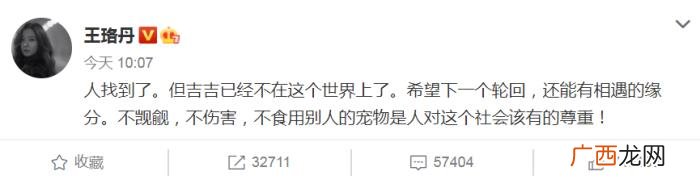 王珞丹微博，王珞丹深夜发微博寻找的宠物鸭找到了