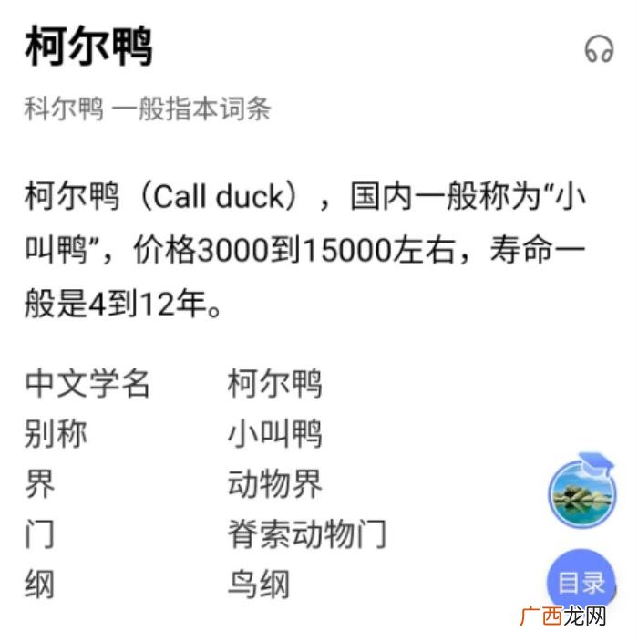 王珞丹微博，王珞丹深夜发微博寻找的宠物鸭找到了