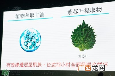 科颜氏丰润保湿水凝精华乳 科颜氏丰润保湿水凝精华乳怎么样