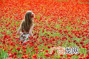 hfp烟酰胺原液多少钱?hfp烟酰胺原液价格