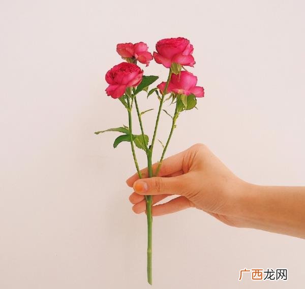 跟老公恩爱的句子，很甜很适合秀恩爱的句子