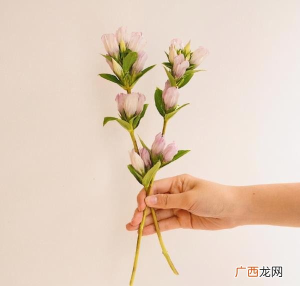 跟老公恩爱的句子，很甜很适合秀恩爱的句子