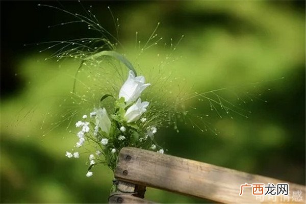 一句话表达缘分已尽、各自安好不再打扰说说
