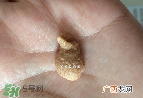 德国世家律动洁面膏怎么用?德国世家律动洁面膏使用方法
