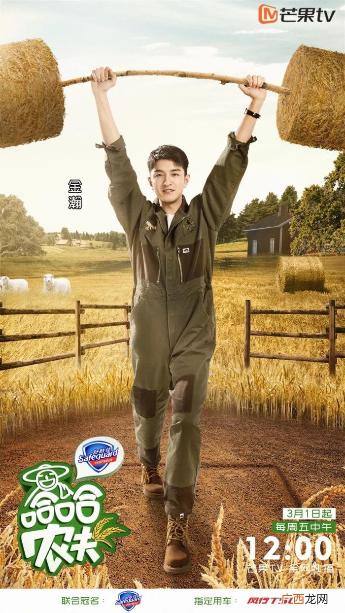 爱奇艺圈子，爱奇艺发布2018全年财报、今日头条App推出圈子功能
