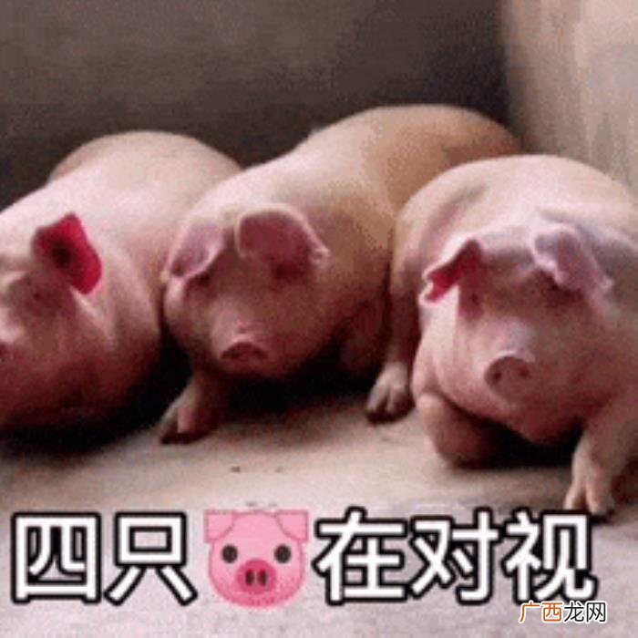 女生给男生小皮筋说明着什么 小皮筋代表什么