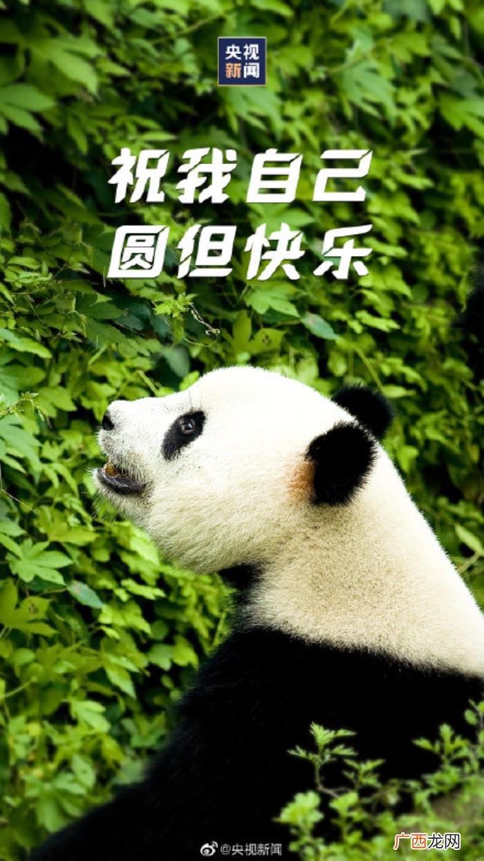 跨年朋友圈文案转存 跨年朋友圈可爱文案