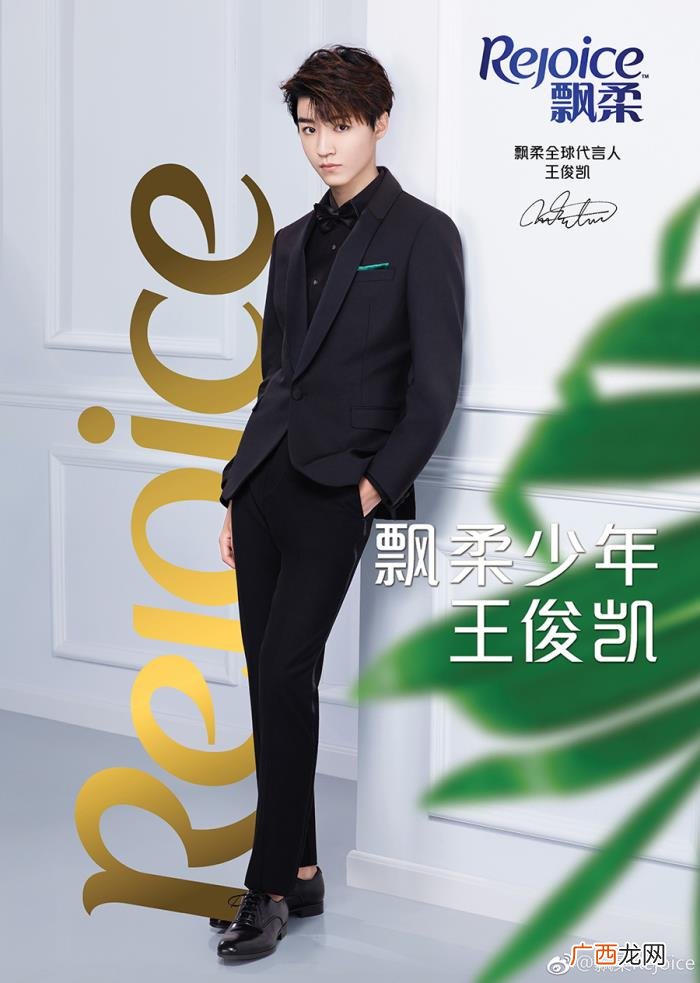 春夏代言人，王俊凯成为飘柔全球代言人、王大陆和春夏成为