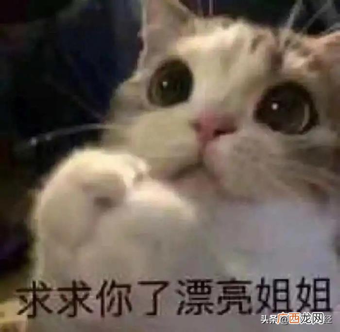 逗女生开心的小套路 逗女生开心的幽默套路