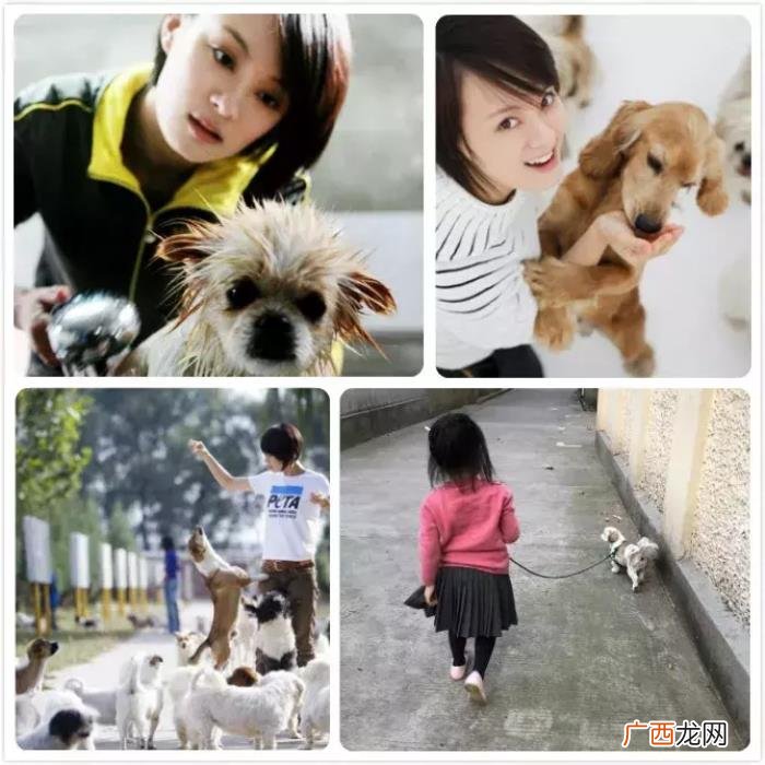 景甜和张继，景甜&amp;amp;张继科也找到了爱情