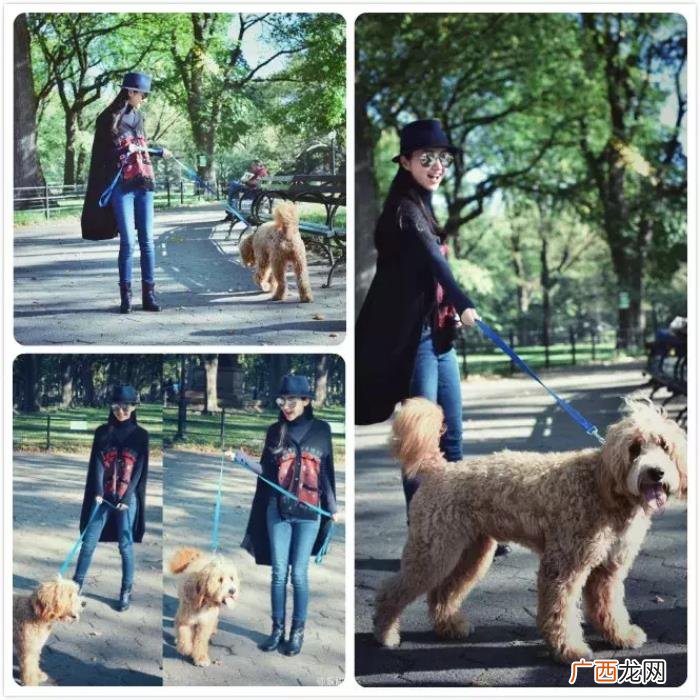 景甜和张继，景甜&amp;amp;张继科也找到了爱情