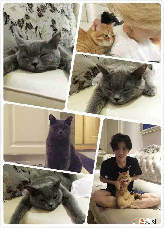 景甜和张继，景甜&amp;amp;张继科也找到了爱情