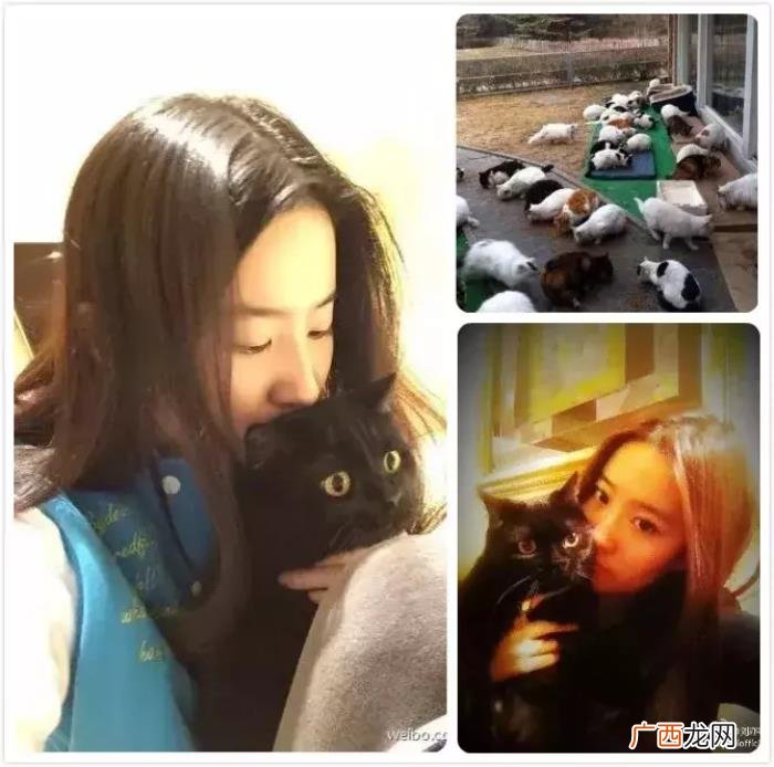 景甜和张继，景甜&amp;amp;张继科也找到了爱情