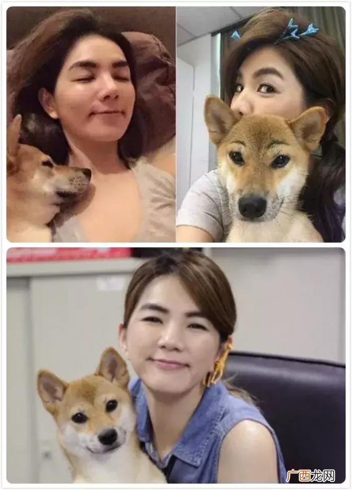 景甜和张继，景甜&amp;amp;张继科也找到了爱情