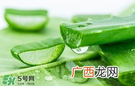 敏感肌肤可以用芦荟胶吗 芦荟胶敏感肌肤能用吗