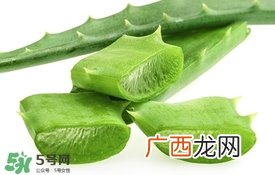 敏感肌肤可以用芦荟胶吗 芦荟胶敏感肌肤能用吗