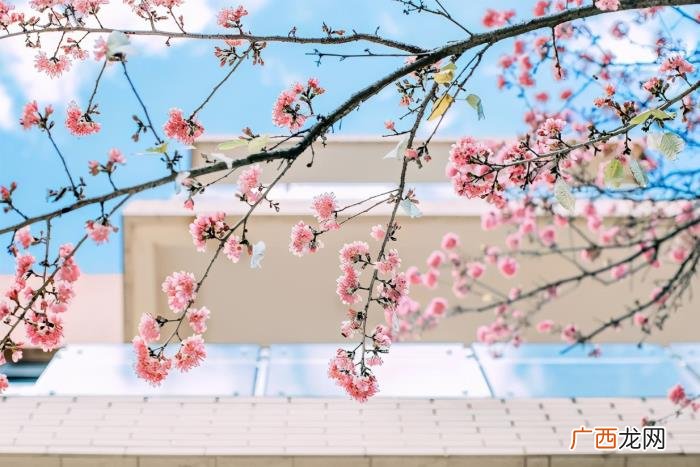 天蝎座吃醋的表现 天蝎女生吃醋表现