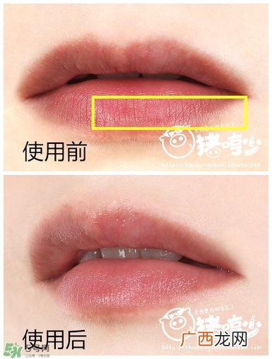 lush唇部磨砂膏保质期是多久？lush唇部磨砂膏过期可以用吗？