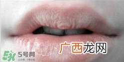 lush唇部磨砂膏保质期是多久？lush唇部磨砂膏过期可以用吗？