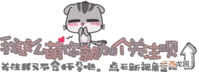 良心电视剧，二十七部算是良心制作的国内电视剧