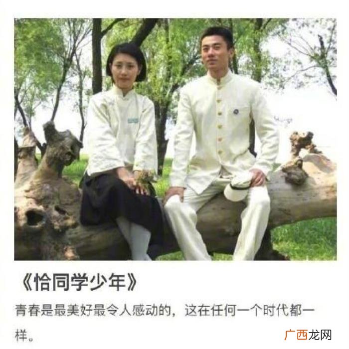 良心电视剧，二十七部算是良心制作的国内电视剧